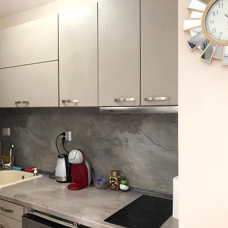 Apartment Amore Center 플로브디프